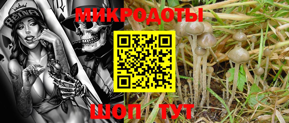 Псилоцибиновые грибы Magic Shrooms  Вход с VPN  Златоуст 